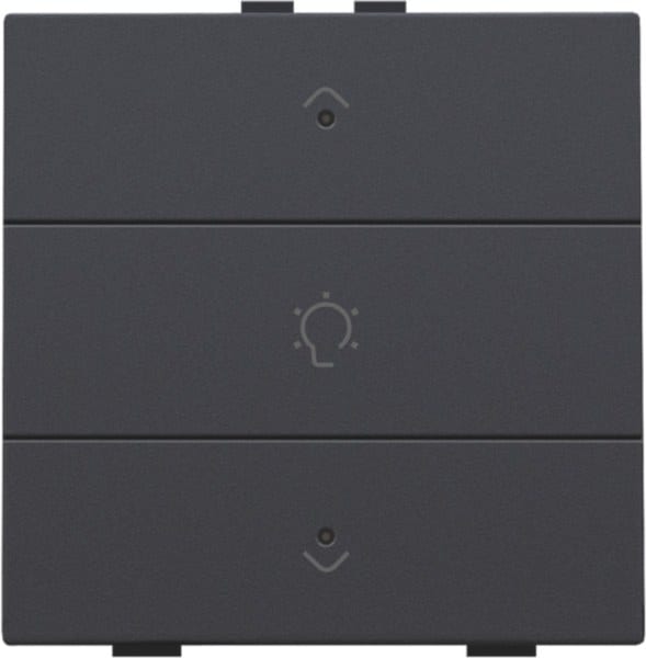 NIKO - Einfach Dimmersteuerung für Niko Home Control mit LEDs, anthracite