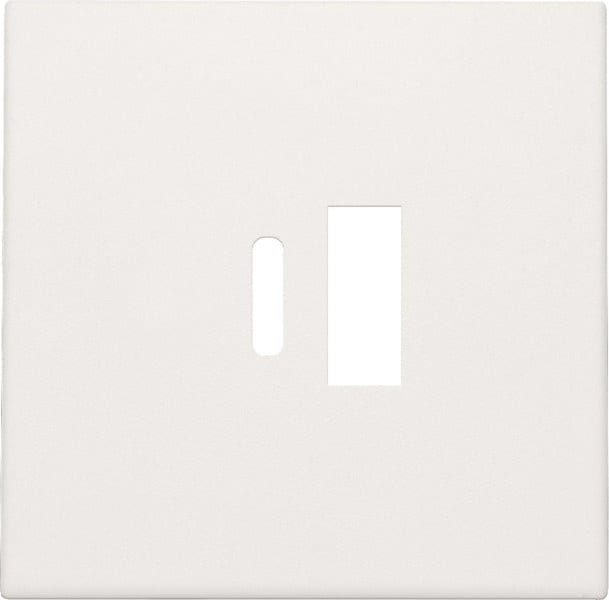 NIKO - Abdeckung für intelligentes Zweifach USB A und USB C Ladegerät, white