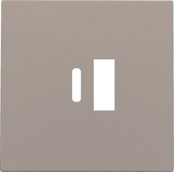 NIKO - Abdeckung für intelligentes Zweifach USB A und USB C Ladegerät, bronze