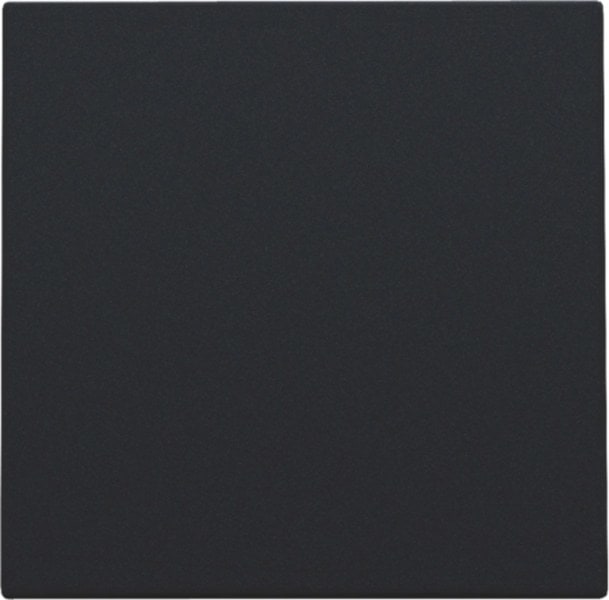 NIKO - Blindabdeckung, Farbausführung: black coated