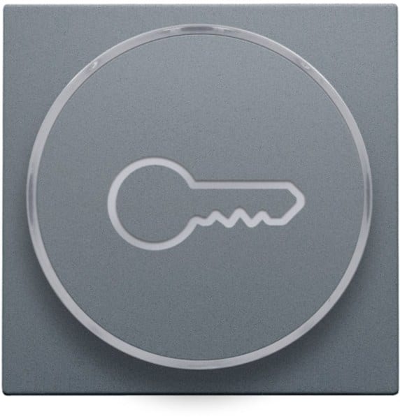 NIKO - Abdeckung mit transparentem Ring mit Schlüsselsymbol für 6 A Taster