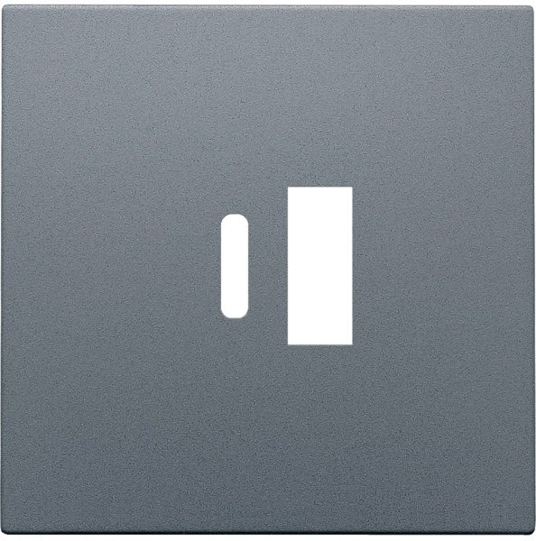 NIKO - Abdeckung für intelligentes Zweifach USB A und USB C Ladegerät, steel