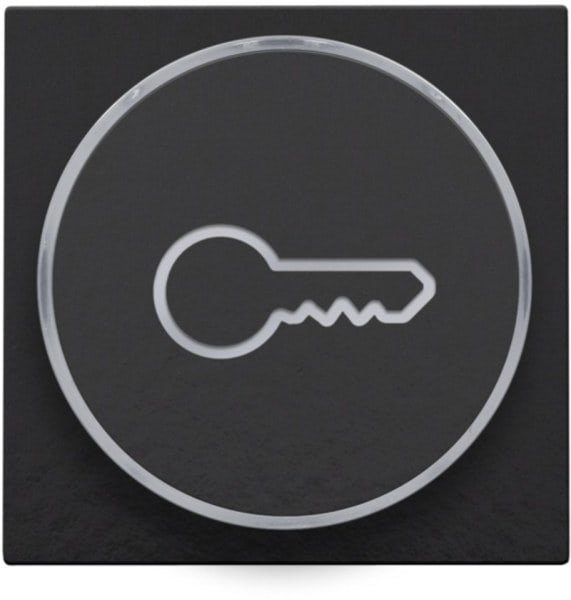NIKO - Abdeckung mit transparentem Ring mit Schlüsselsymbol für 6 A Taster