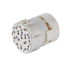HARTING - M23 17 Bu-C