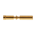 HARTING - M23 P Bu-c 2mm (0,752,5mm²) Au