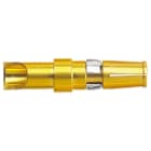 HARTING - DSUB FE STR SOLDER CONTACT 30A POWER