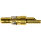 HARTING - DSUB MA STR SOLDER CONTACT 30A POWER