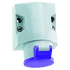 BALS - CEE Wandsteckdose 32A/24V/2-polig