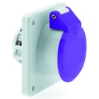 BALS - CEE Anbausteckdose 32A/24V/3-polig