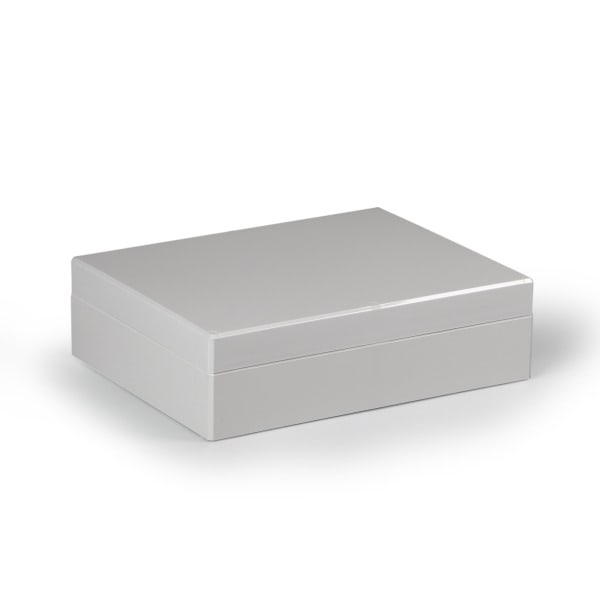 ENSTO - Gehäuse RAL7035, 230x300x86mm, glatte Seiten, IP 66/67