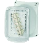 HENSEL - DK 1010 G Kabelabzweigkasten m.Kl 180x130x77,IP66