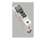 WÖHNER - 31110 Ambus Easyswitch 1pol 10x38 /690V 32A
