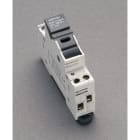 WÖHNER - 31273 Ambus Easyswitch 1pol+N 10x38 690VAC 32A