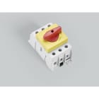 WÖHNER - 33888 Lasttrennschalter 80A CAPUS 3-polig, rg