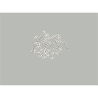 WÖHNER - 31564 Verbindungs-Set 10 x 38, 2-polig (10 Stk.)