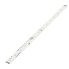 TRIDONIC - LLE 24x560mm 1500lm 840 DL EXC Linear Modul