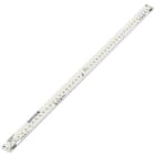 TRIDONIC - LLE 24x560mm 2400lm 830 HV ADV5 TALEXXmodule LINEAR-G5