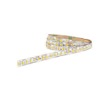 TRIDONIC - LLE FLEX 8mm 48V 8W 1200lm 840 SNC2 R10 Flexible Module