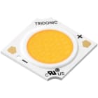 TRIDONIC - SLE 09mm 1200lm 930 R ADV8 Spotlight-Modul