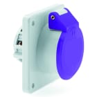 BALS - Anbausteckdose 16A 3p 24V kein Nut IP44 Ni 436