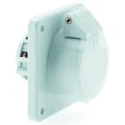 BALS - Anbausteckdose 32A 3p 42V 12h IP44 Ni 4318