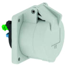 BALS - Anbausteckdose SL TE 32A 5p >50V 1h IP44 Ni 13822