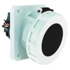 BALS - Anbausteckdose TE 125A 5p 500V 7h IP67 Ni 12133