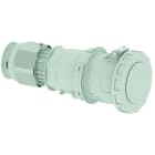 BALS - Notstromeinspeisung Kupplung 125A 5p 1h Ni 31641