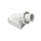 BALS - Notstromeinspeisung W-Ger.Stecker 63A 5p 1h 24689