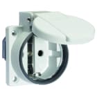 BALS - SCHUKO Anbausteckdose SL 16A IP54 grau Ni 71103VDE