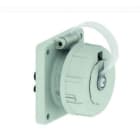 BALS - SCHUKO Anbausteckdose TE 16A IP68 grau Ni 7119