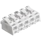 ELECTRO TERMINAL - SLK 3/5  +E-PIEC 3-N-ERDE-1-2 PC Schraublose Leuchtenklemme