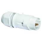 BALS - Stecker 32A 2p <50V DC 10h IP44 Ni 4438