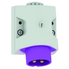 BALS - Wandgerätestecker 32A 2p 24V keine Nut IP44 4611