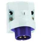 BALS - Wandgerätestecker 32A 3p 24V keine Nut IP44 4617