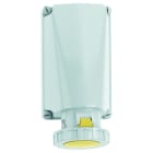 BALS - Wandsteckdose TE 125A 3p 110V 4h IP67 Ni 11436