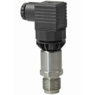 SIEMENS - Druckfühler Flüssig u. Gas 0..10bar 0..10VDC 24VAC