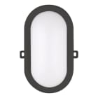 BAILEY - LED Ovalleuchte Basic 6W 420lm 3000K Bulkhead Schwarz