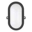 BAILEY - LED Ovalleuchte Basic 12W 910lm 3000K Bulkhead Schwarz