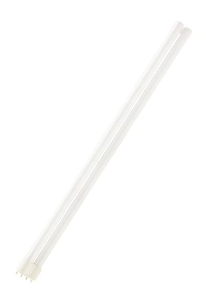 PHILIPS - MASTER PL-L 4P 2G11 40W 830