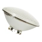 BAILEY - 4545 PAR56 12V 100W Screw T. Marine