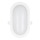 BAILEY - LED Ovalleuchte Basic 6W 420lm 4000K Bulkhead Weiß