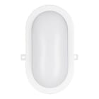 BAILEY - LED Ovalleuchte Basic 12W 910lm 3000K Bulkhead Weiß