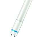 PHILIPS - MAS LEDtube 600mm HO 8W 865 T8