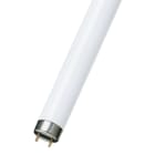PHILIPS - MASTER TL-D Super 80 G13 38W 830