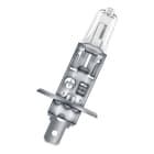 OSRAM - 64155TSP H1 P14.5S 24V 70W Klar