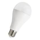 BAILEY - LED Ecobasic A65 E27 20W (142W) 2452lm 840 Opal