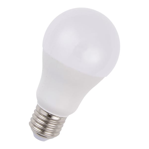BAILEY - LED A60 E27 12-60V AC/DC 10W (60W) 810lm 830