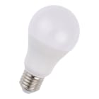 BAILEY - LED A60 E27 12-60V AC/DC 10W (60W) 810lm 830