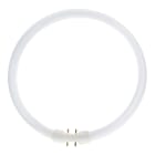 ALI - TL5 Circular 2GX13 55W 3300lm 830